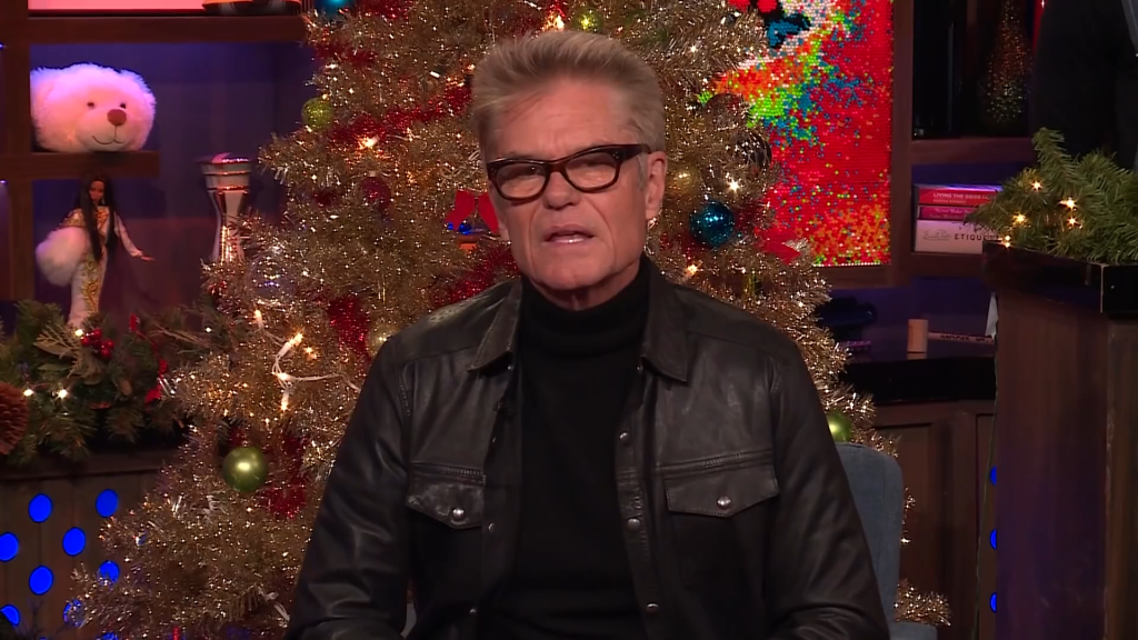 Lisa Rinna: Harry Hamlin Almost Divorced Me Over ‘Real Housewives’