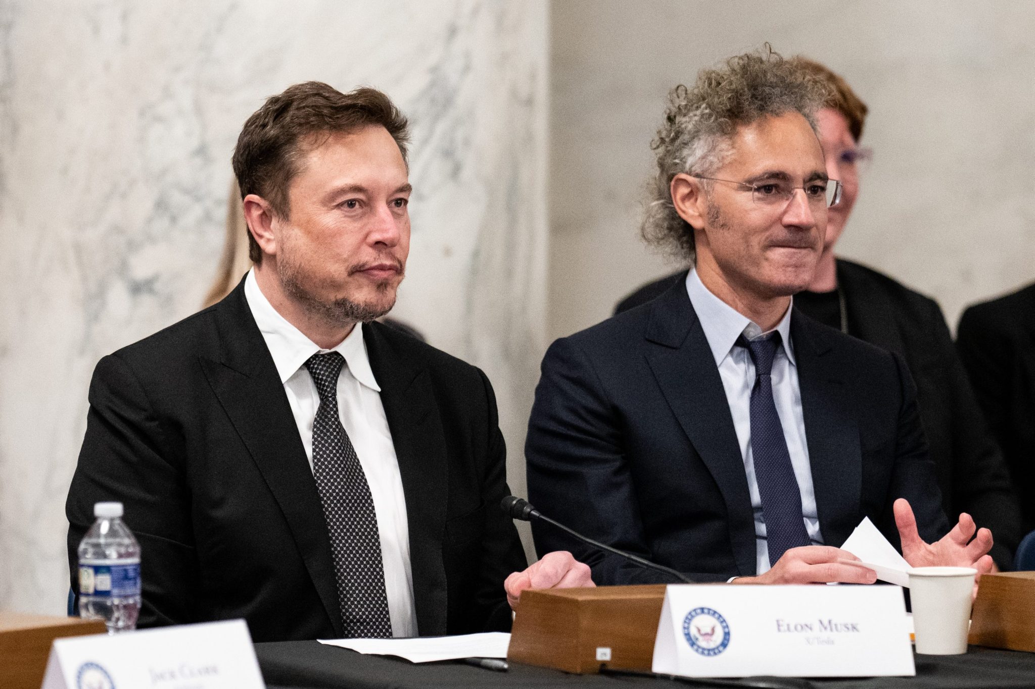 Palantir may be the stock pick for the DOGE era as it leads the AI revolution while Musk plows through government agencies