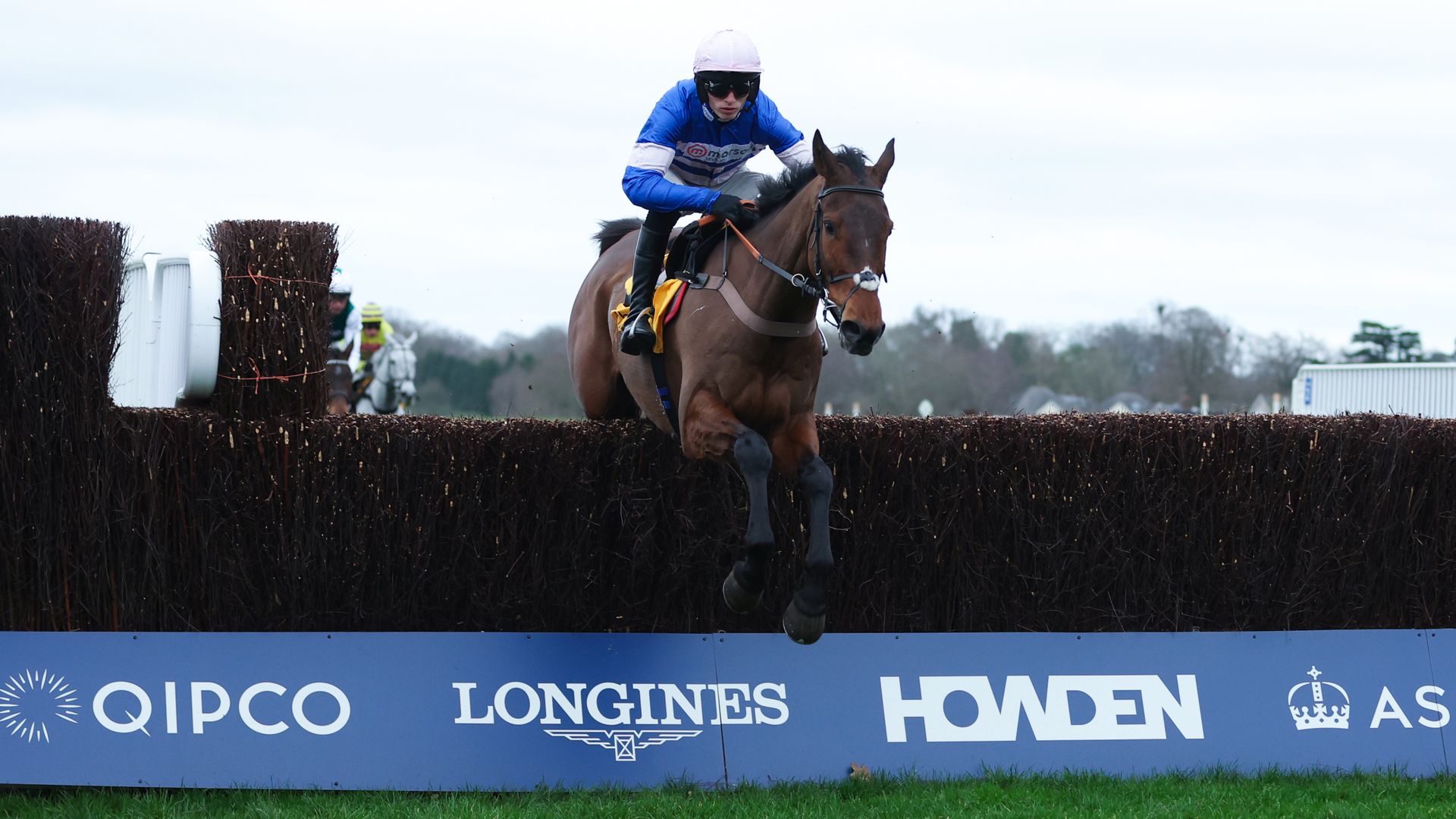 Pic D'orhy faces Corbetts Cross and L'homme Presse in blockbuster Ascot Chase