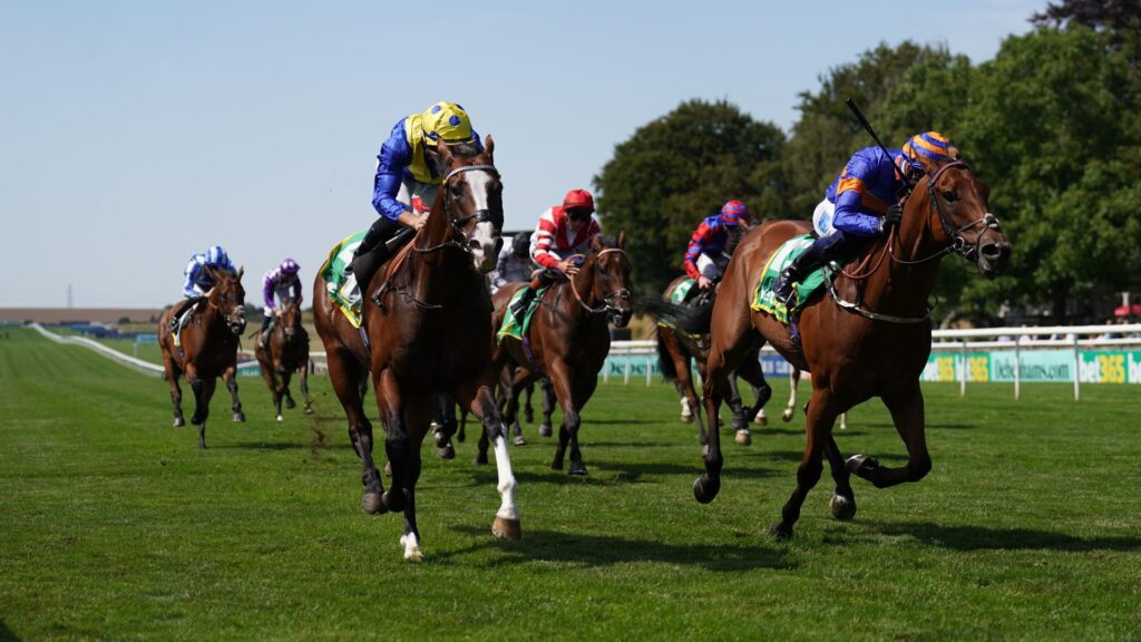 More Thunder holds on for Bunbury Cup glory